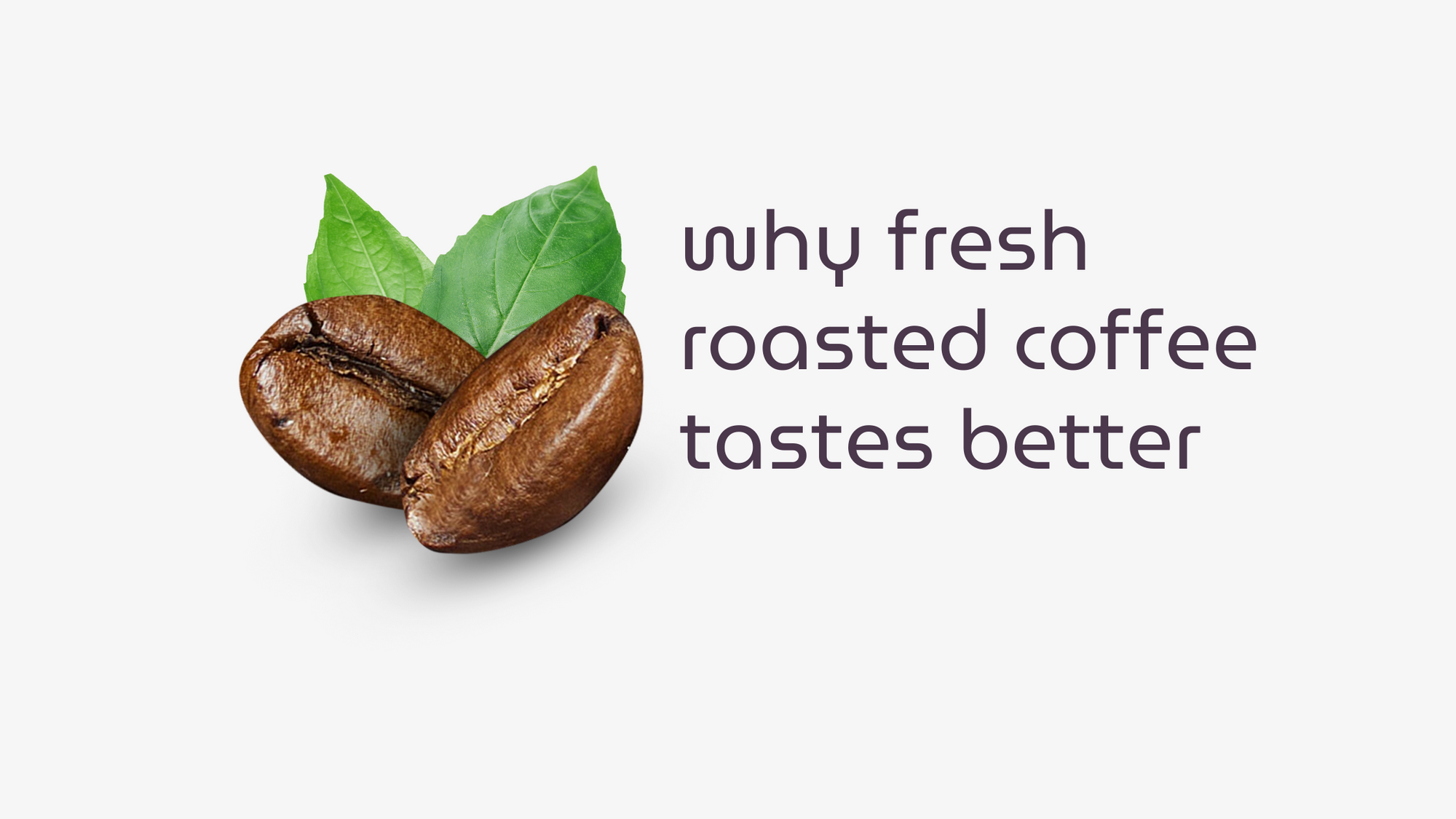 Fresh roasted coffee beans with green leaves and ‘Why Fresh Roasted Coffee Tastes Better’ text on white background – Happi Coffee blog graphic