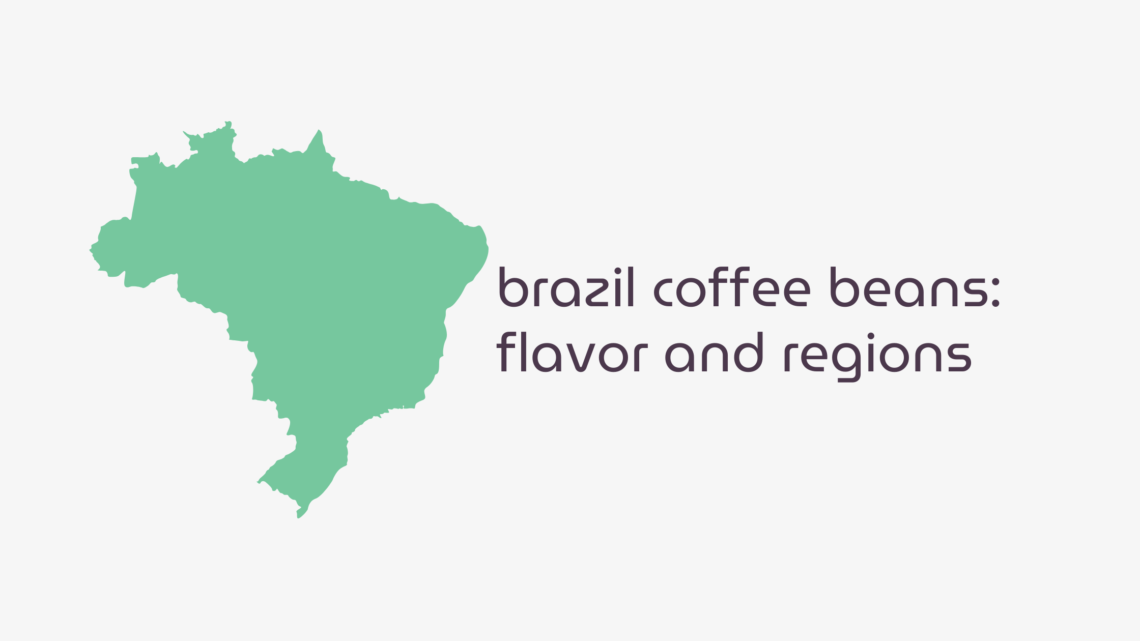 Brazil Coffee Beans: Flavor, Regions & Why They Matter